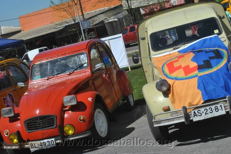 CITRONETAS_RIO_CLARO_124