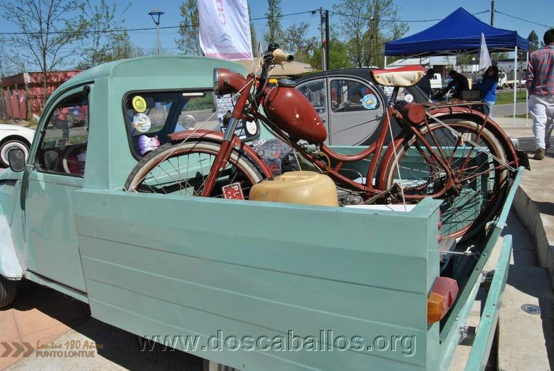 CITRONETAS_RIO_CLARO_127