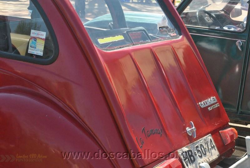 CITRONETAS_RIO_CLARO_128