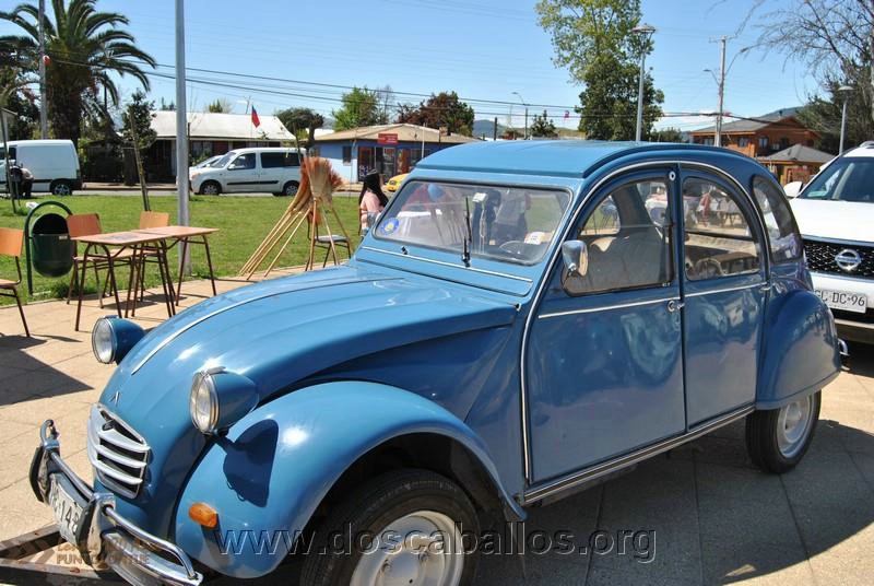 CITRONETAS_RIO_CLARO_129