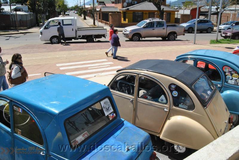 CITRONETAS_RIO_CLARO_132