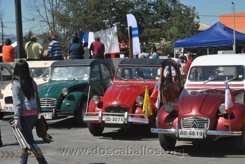 CITRONETAS_RIO_CLARO_134