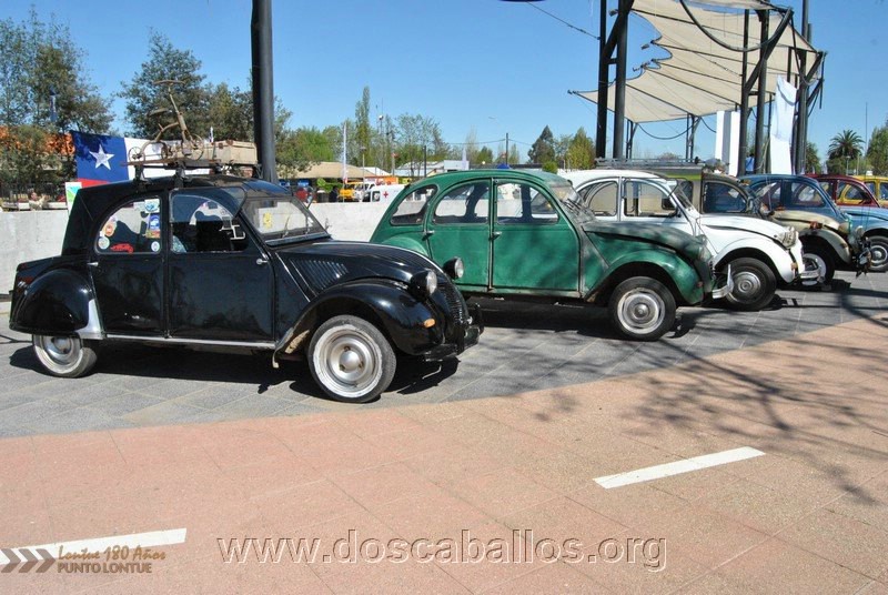 CITRONETAS_RIO_CLARO_135