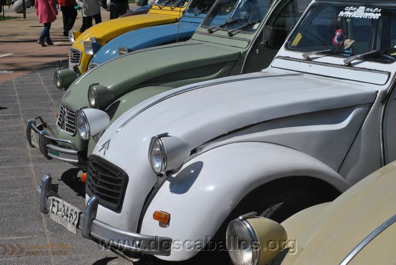 CITRONETAS_RIO_CLARO_136