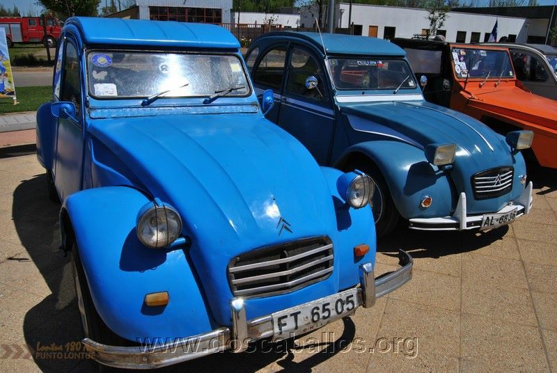 CITRONETAS_RIO_CLARO_137