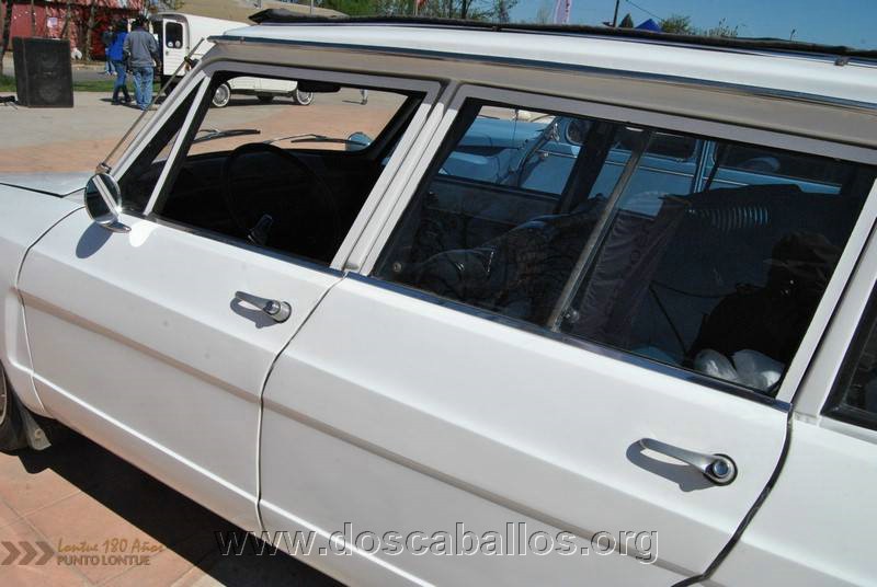 CITRONETAS_RIO_CLARO_138