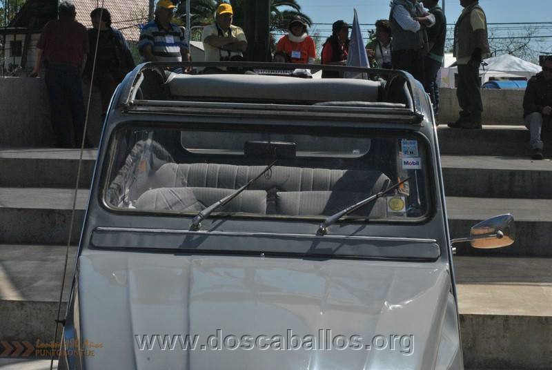 CITRONETAS_RIO_CLARO_139