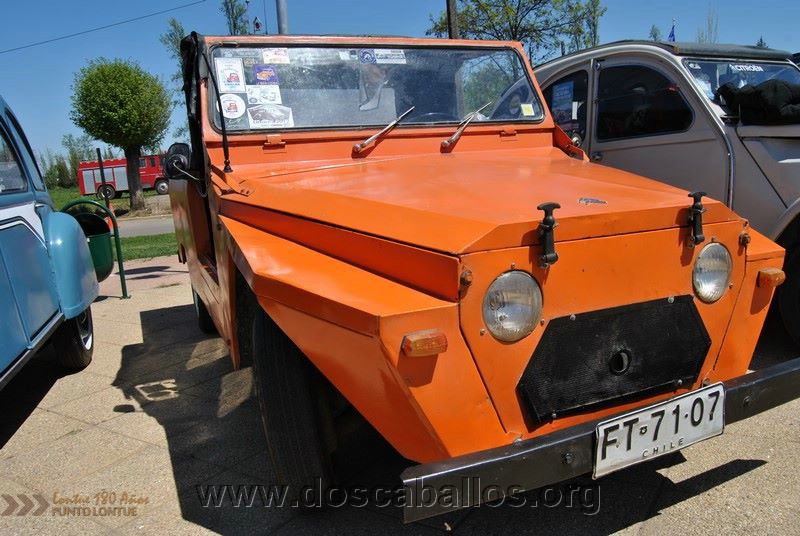CITRONETAS_RIO_CLARO_144