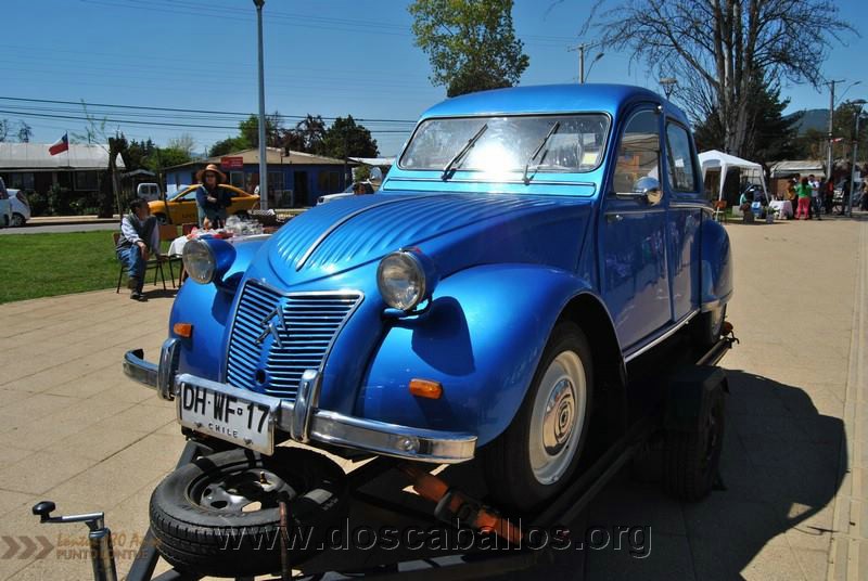 CITRONETAS_RIO_CLARO_145