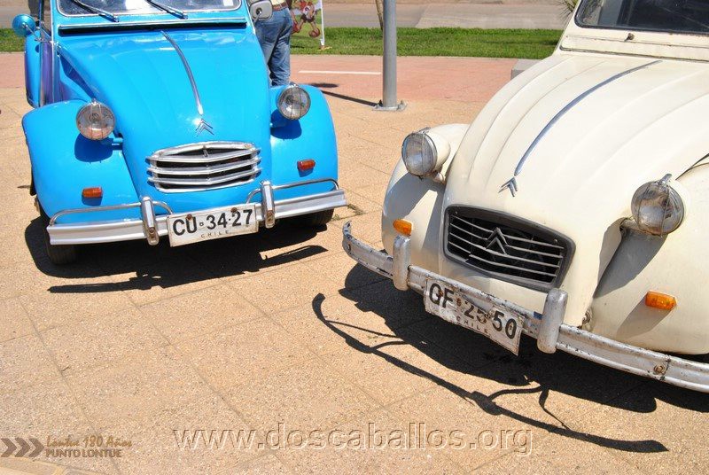 CITRONETAS_RIO_CLARO_147