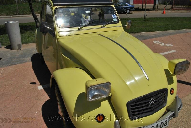 CITRONETAS_RIO_CLARO_148