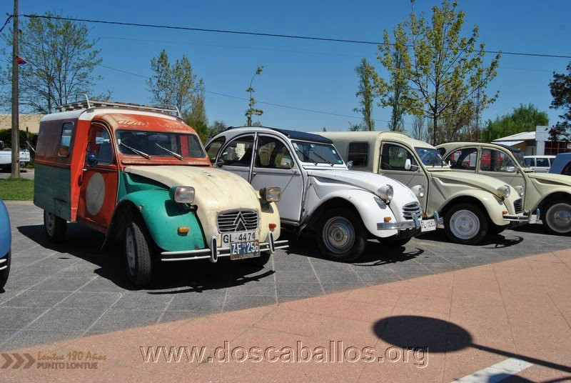 CITRONETAS_RIO_CLARO_149