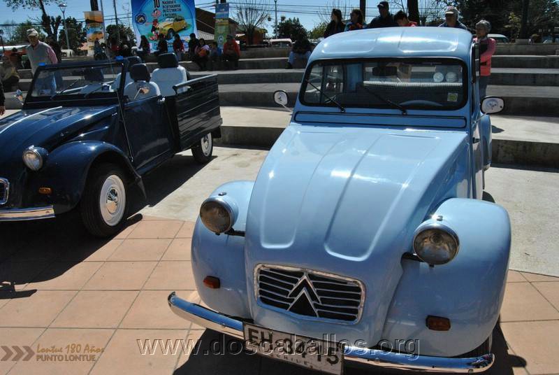 CITRONETAS_RIO_CLARO_152