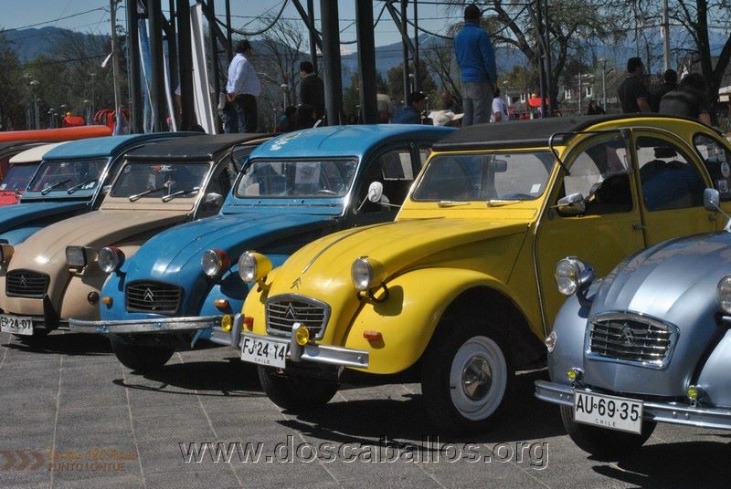CITRONETAS_RIO_CLARO_156