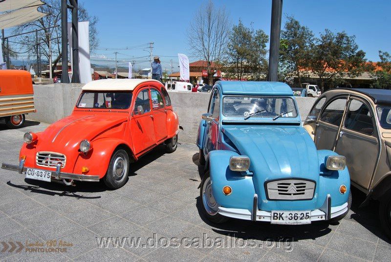 CITRONETAS_RIO_CLARO_157