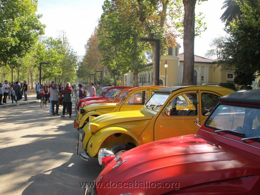 2cv_malaga_2015_001