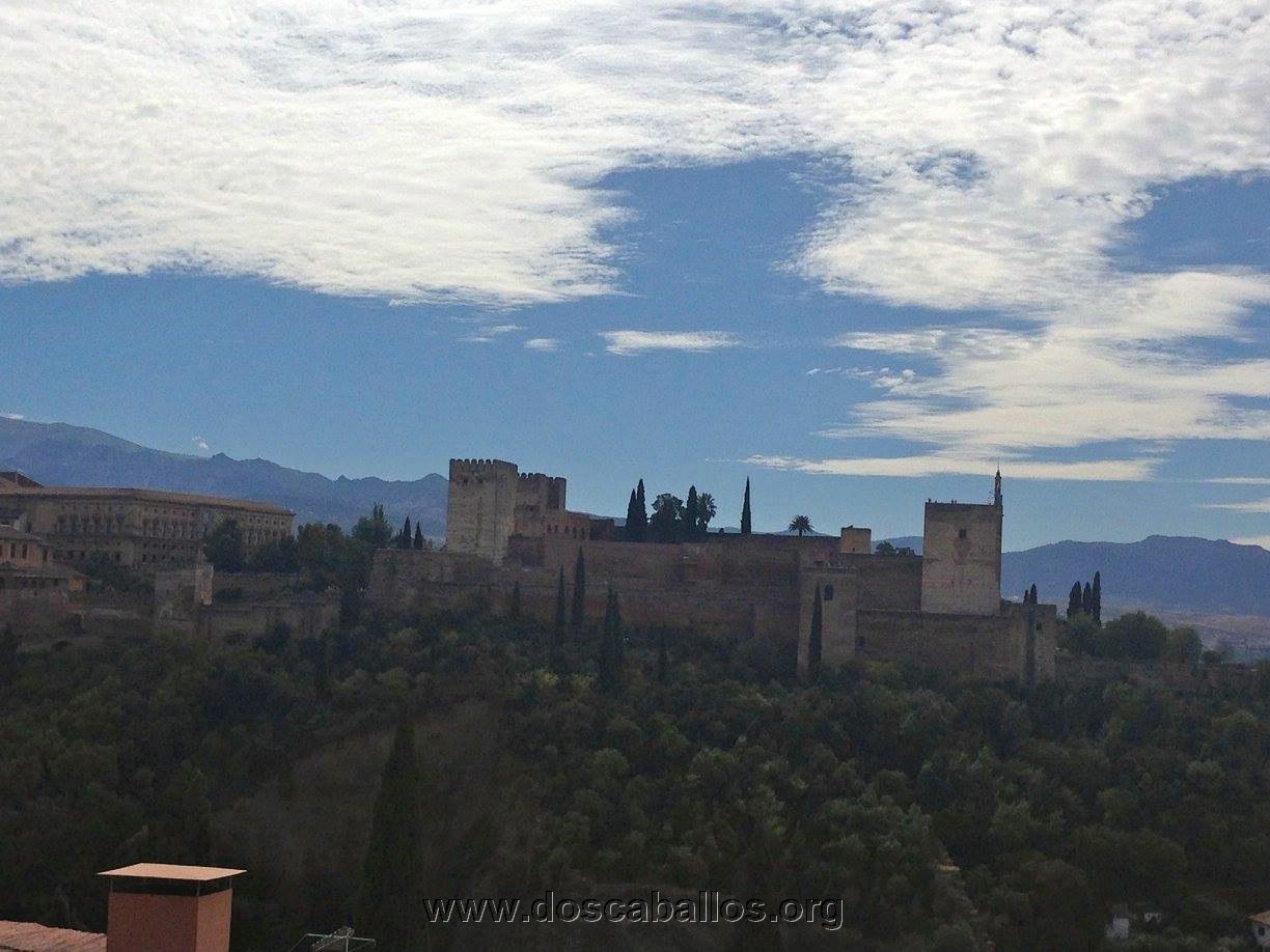 2cv_malaga_2015_013