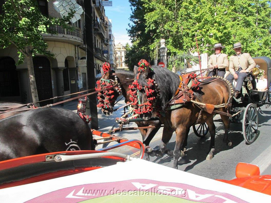2cv_malaga_2015_023