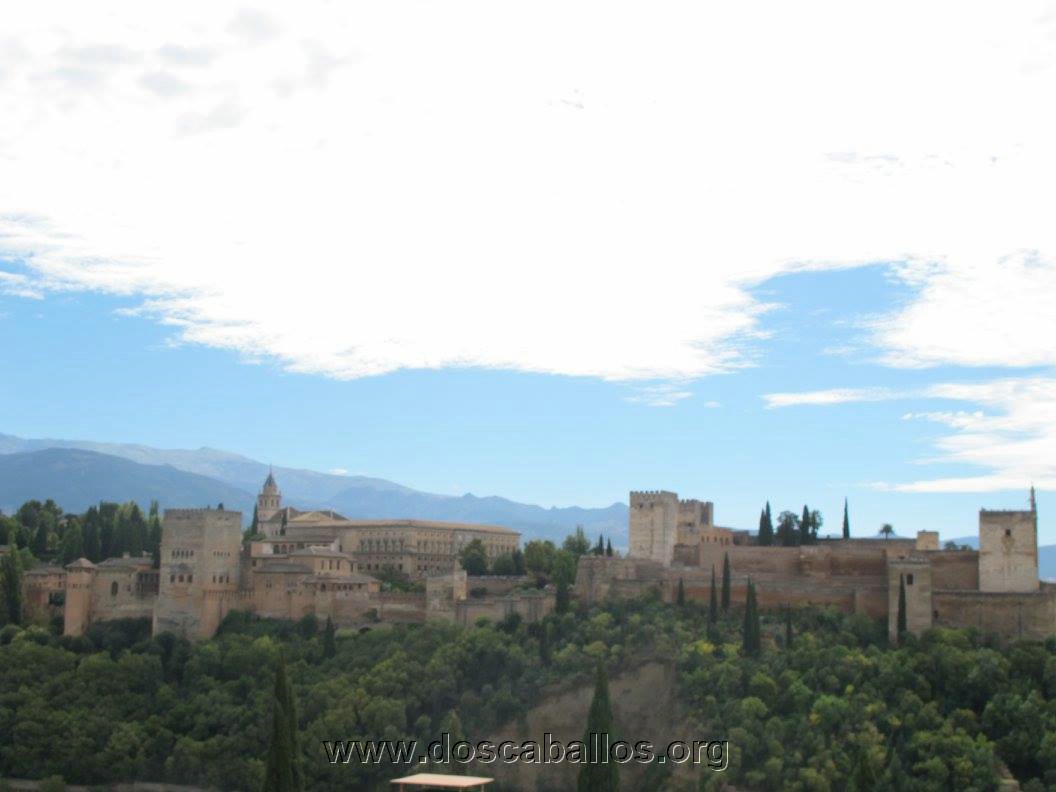 2cv_malaga_2015_027