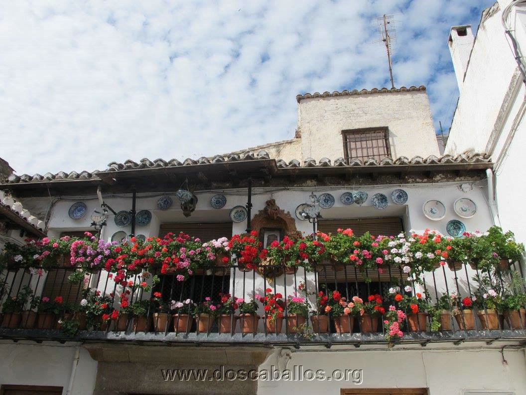 2cv_malaga_2015_039