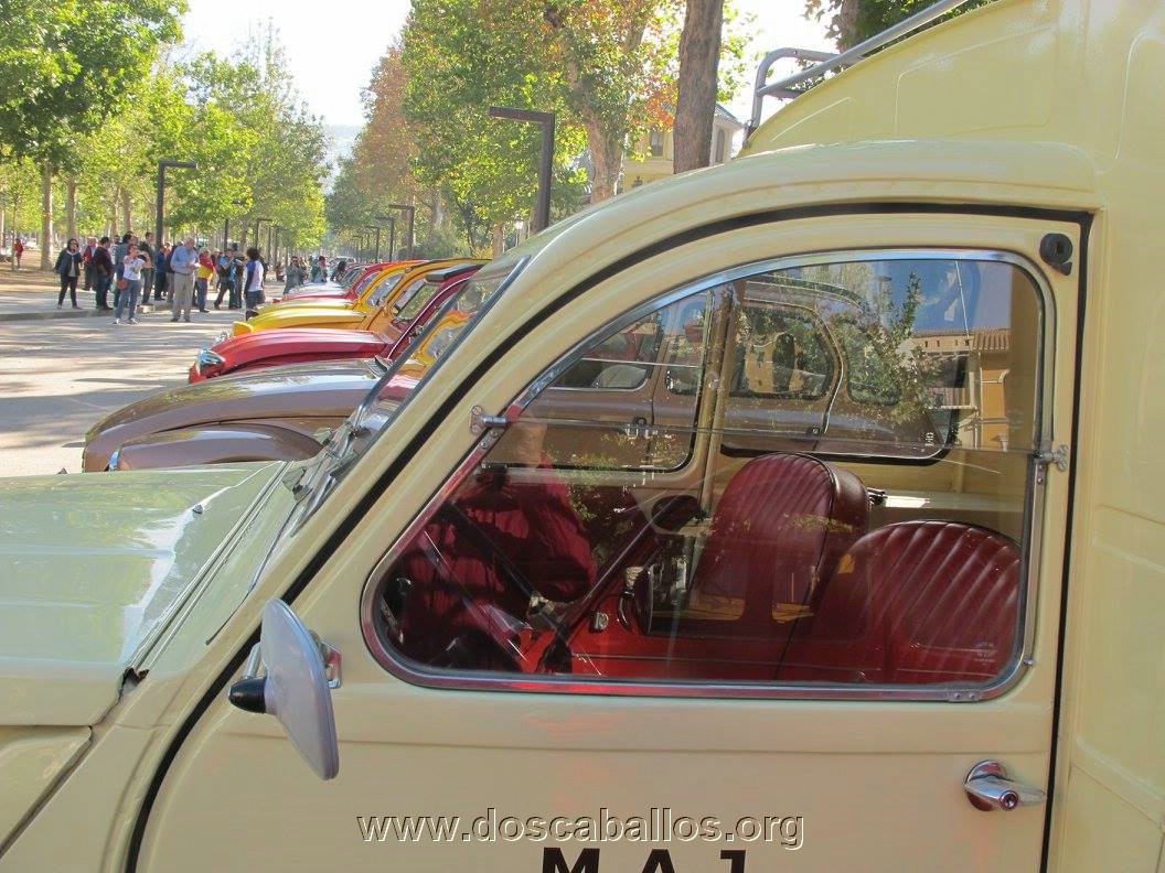 2cv_malaga_2015_046