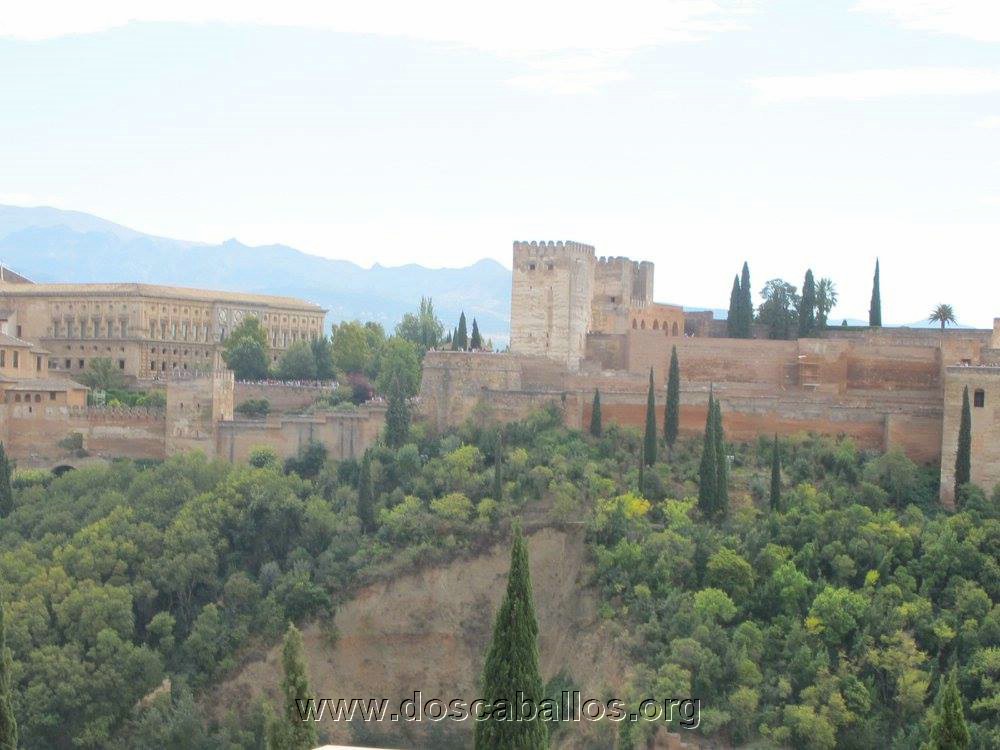 2cv_malaga_2015_067