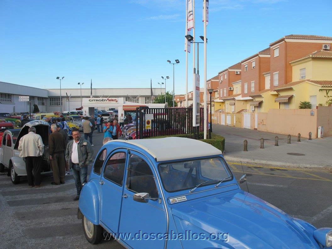 2cv_malaga_2015_080