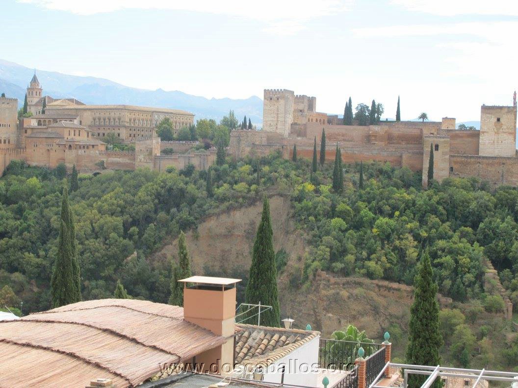 2cv_malaga_2015_097