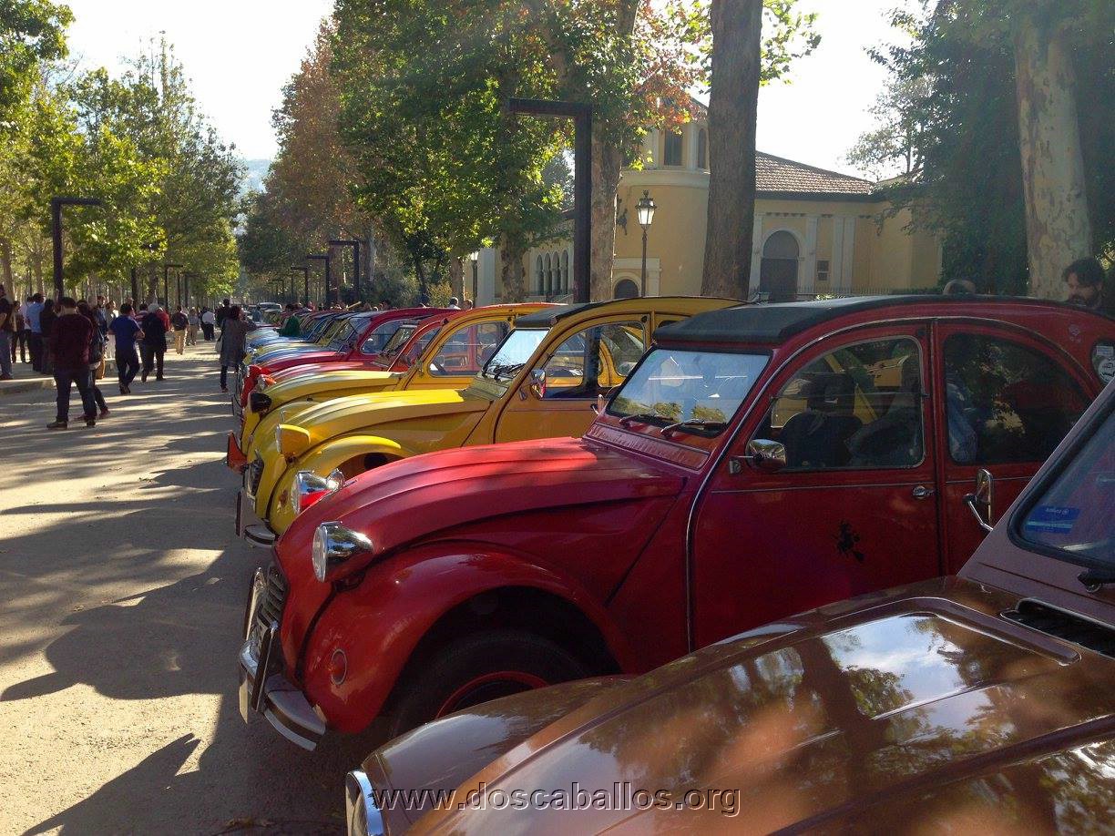 2cv_malaga_2015_136