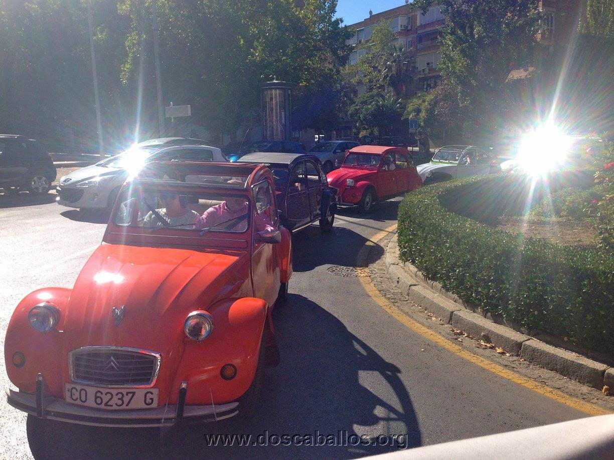 2cv_malaga_2015_141