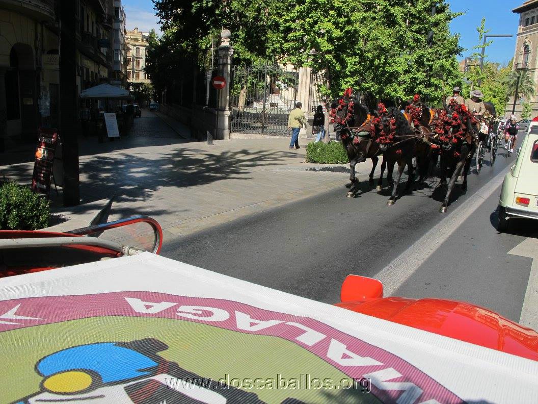 2cv_malaga_2015_163