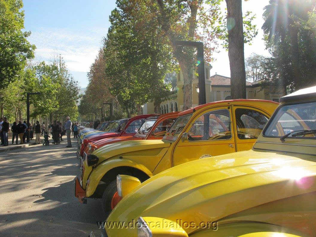 2cv_malaga_2015_171