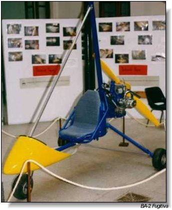 trike.jpg (31124 bytes)