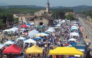 salfotollotja2014